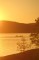 Canoe on the golden lake