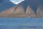 Adventfjord Adventfjord