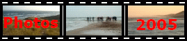 Picture gallery Skagen Sands 2005